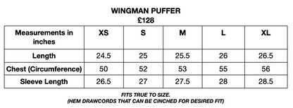 Wingman Light Puffer - Translucent/Green